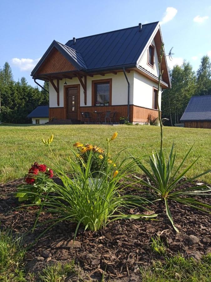 Siedlisko Czarny Dzieciol Apartman Narewka Kültér fotó